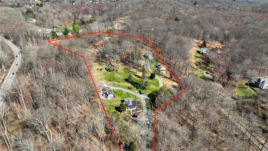 292 Croton Falls Road Carmel, NY 10541 - Photo 3 of 10 a view of a plant in a garden