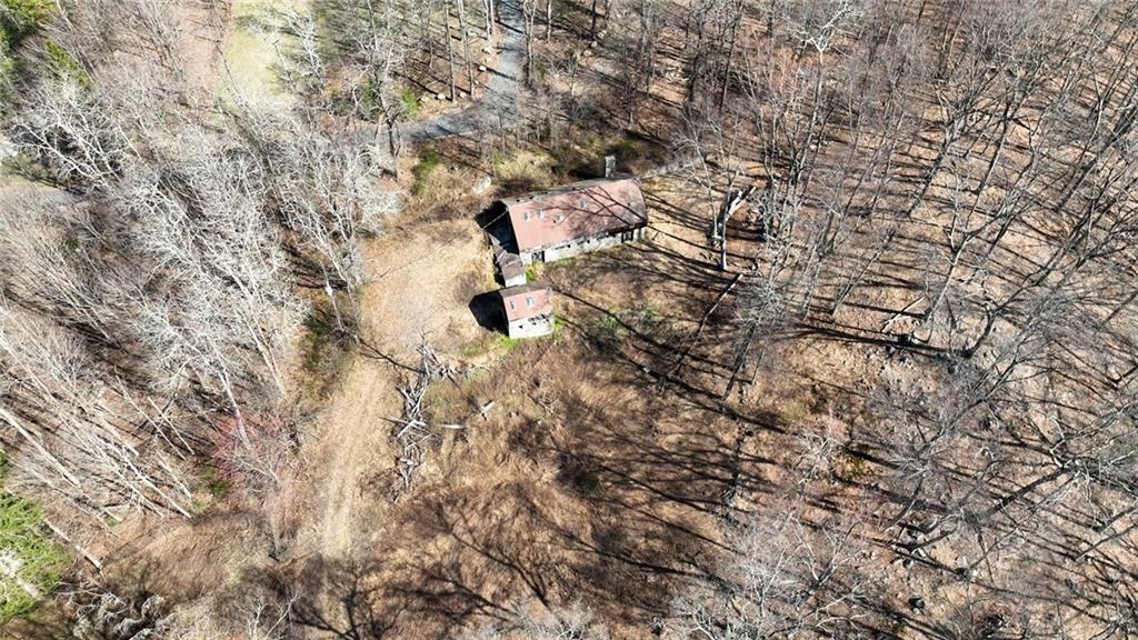 292 Croton Falls Road Carmel, NY 10541 - Photo 9 of 10 a picture of tree