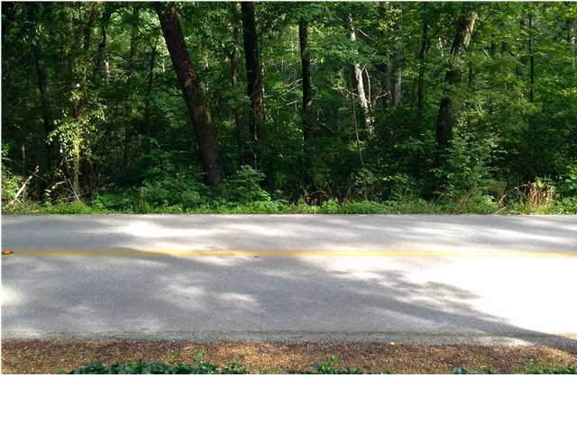 300 Green Gorge Road Signal Mountain, TN 37377 - Photo 29 of 29 Additional Photo
