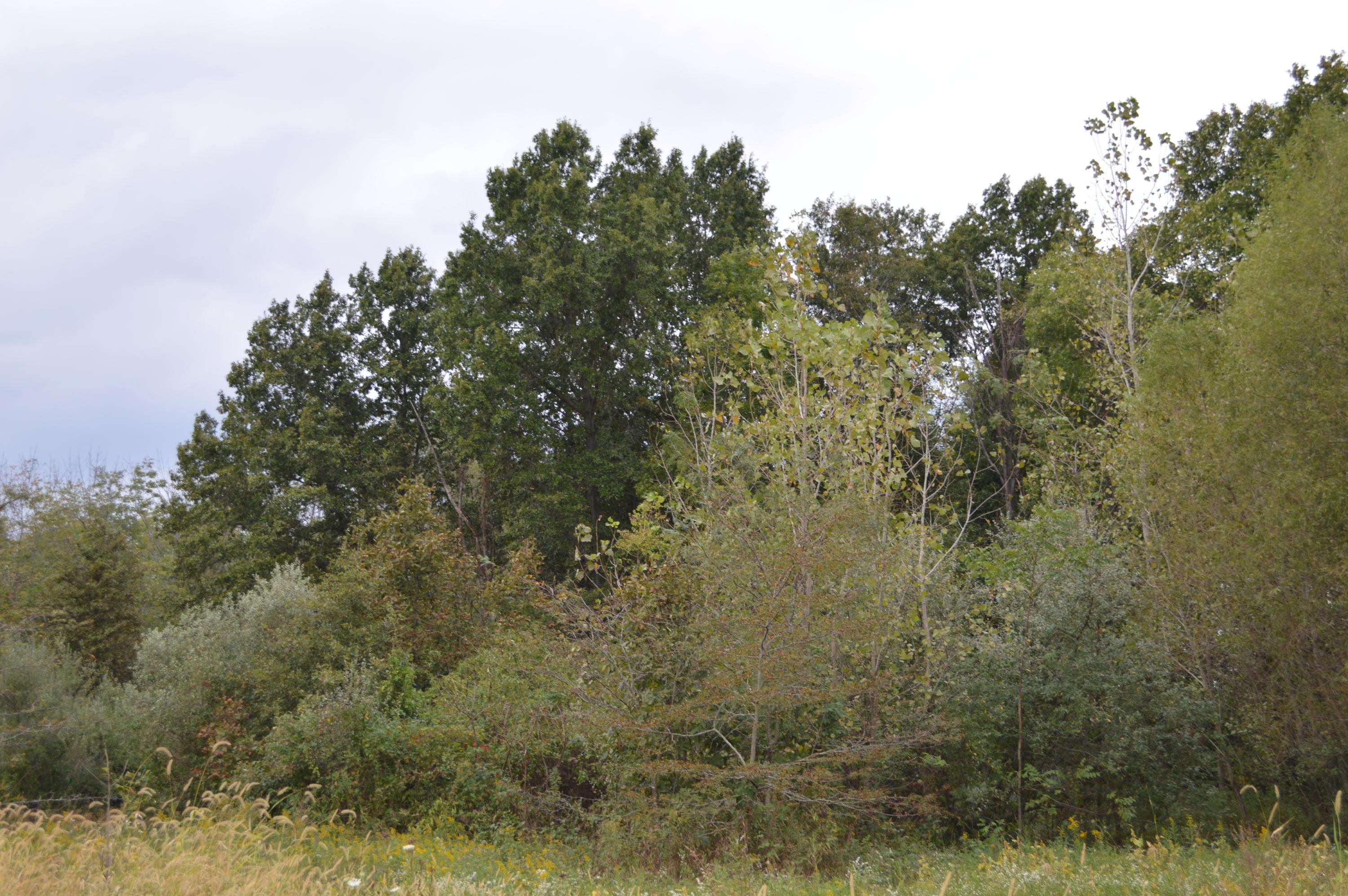 10604 Hayesville Road Kingston, OH 45644 - Photo 47 of 51 Gallery Image 47