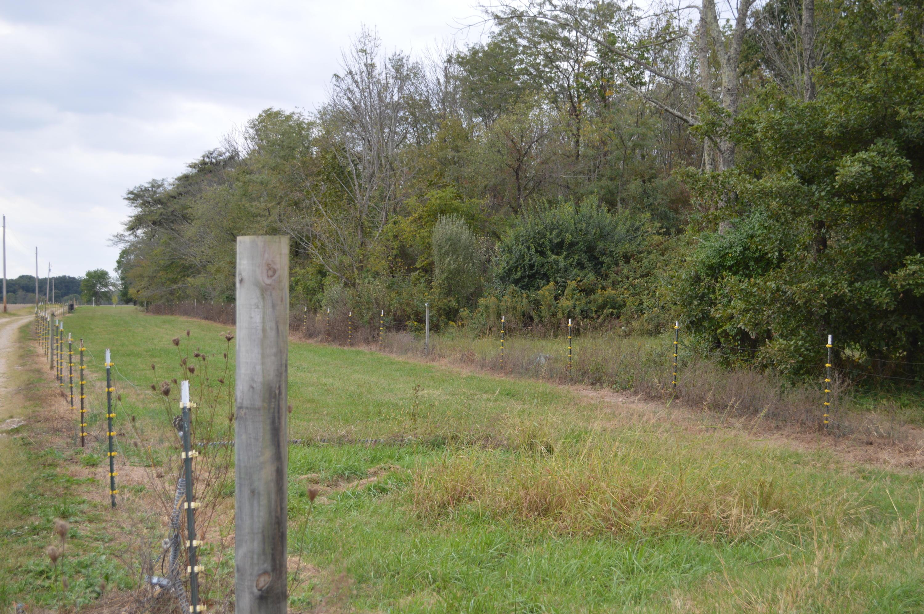 10604 Hayesville Road Kingston, OH 45644 - Photo 49 of 51 Gallery Image 49