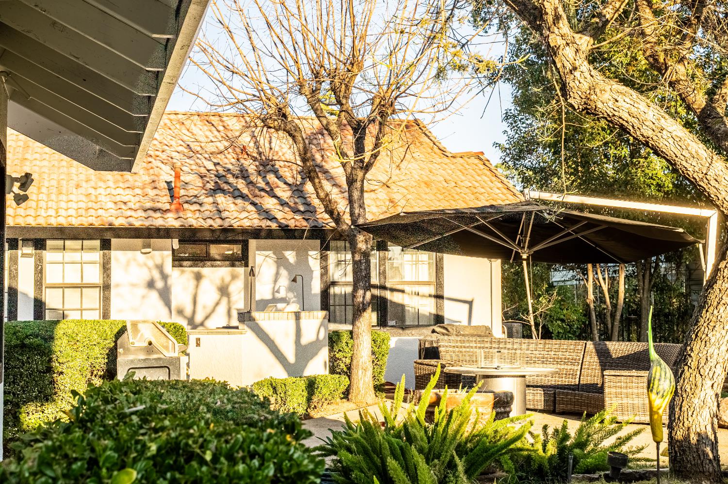 1801 Arroyo Drive Auburn, CA 95603 - Photo 55 of 68 a view of outdoor space yard and patio