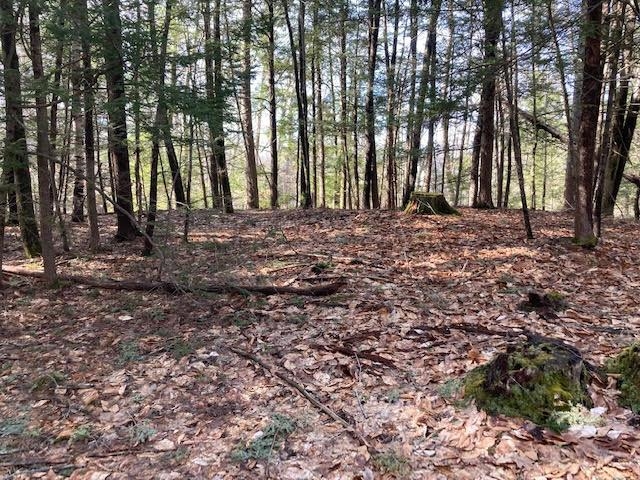 0 Back Canaan Road Strafford, NH 03884 - Photo 1 of 12 Gallery Image 1