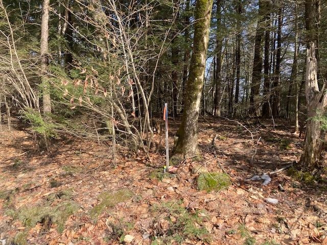 0 Back Canaan Road Strafford, NH 03884 - Photo 2 of 12 Gallery Image 2