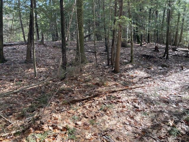 0 Back Canaan Road Strafford, NH 03884 - Photo 6 of 12 Gallery Image 6