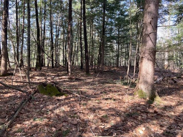 0 Back Canaan Road Strafford, NH 03884 - Photo 7 of 12 Gallery Image 7