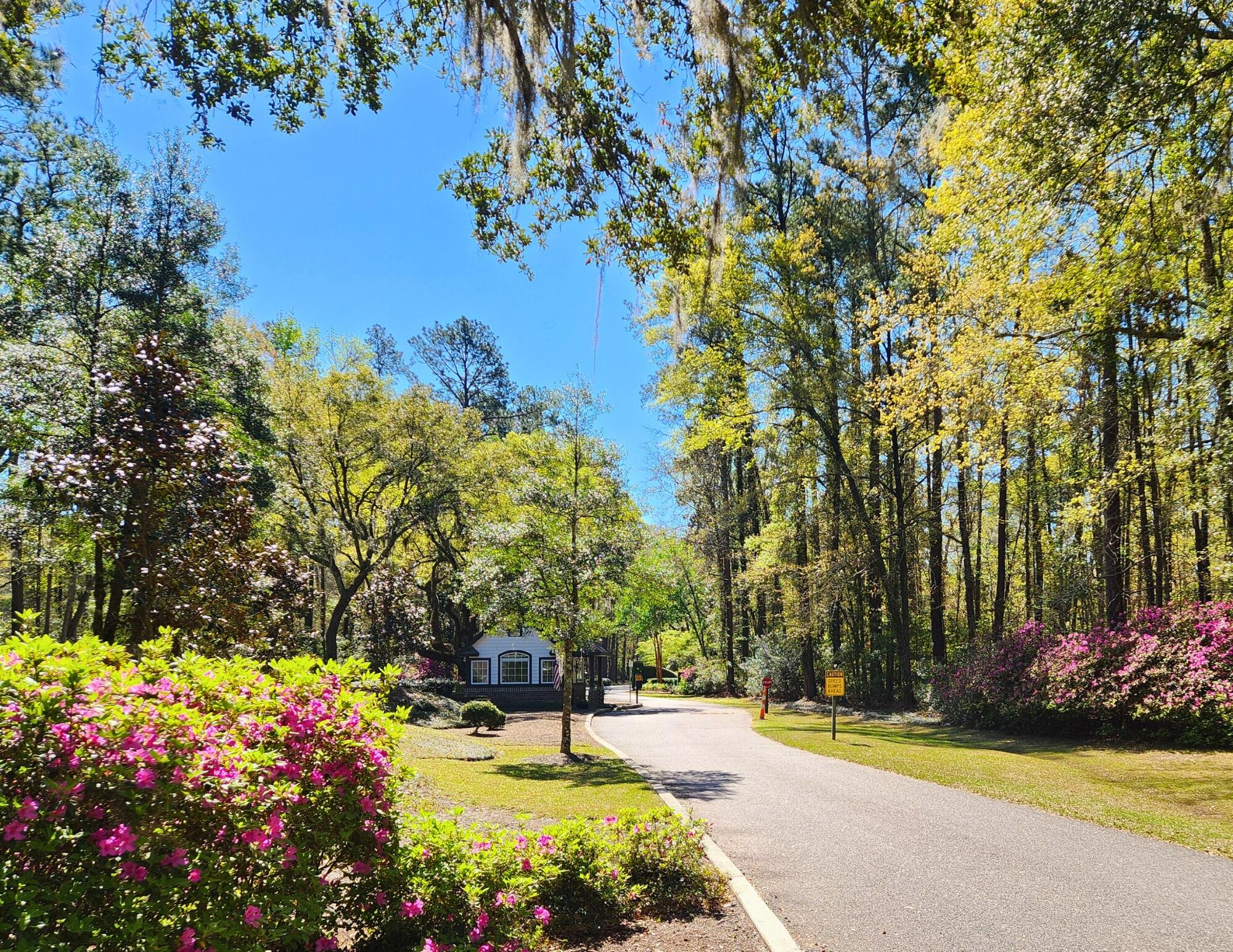 7 Barnaby Seabrook, SC 29940 - Photo 88 of 91 Bull Point Gate Spring