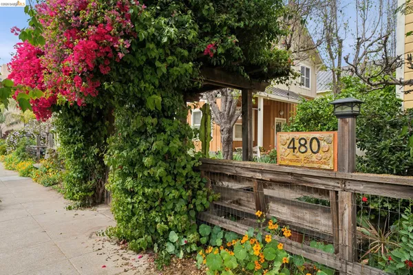 a picture of flowers