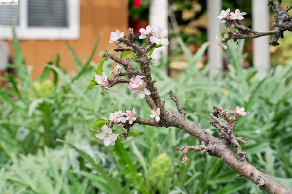 a backyard of a house with lots of green space