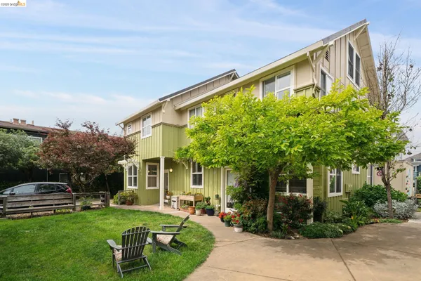 a pink bunch of flowers
