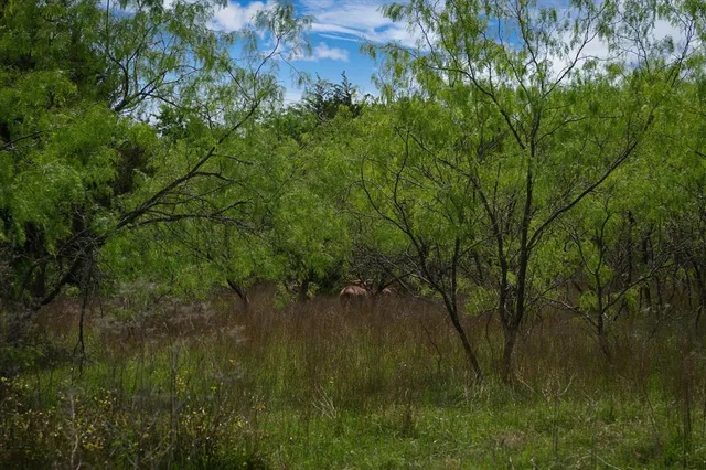 a view of an outdoor space and a yard