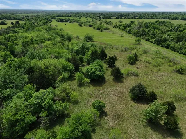a view of a big yard with a large tree