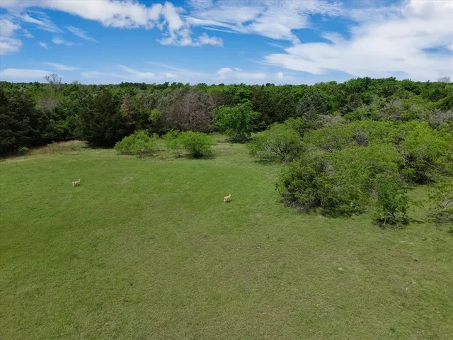 a view of a lush green forest with houses and lake view