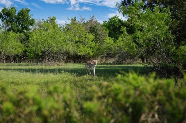 a view of a garden with a lake