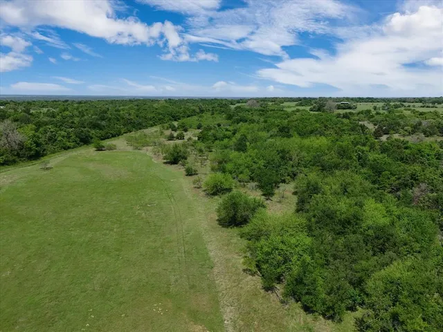a view of a big yard with large trees