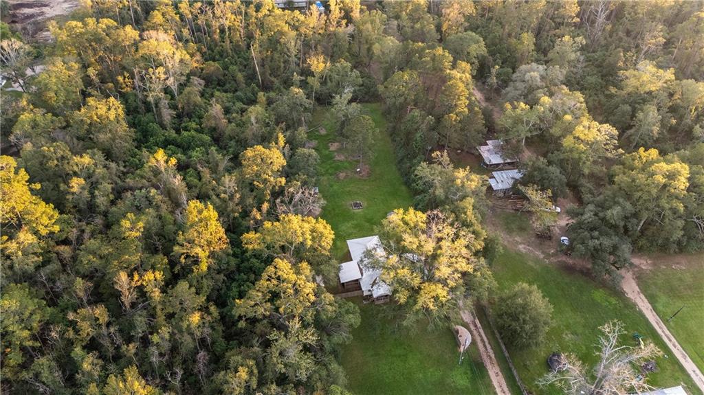 13496 Old Genessee Road Tickfaw, LA 70466 - Photo 21 of 21