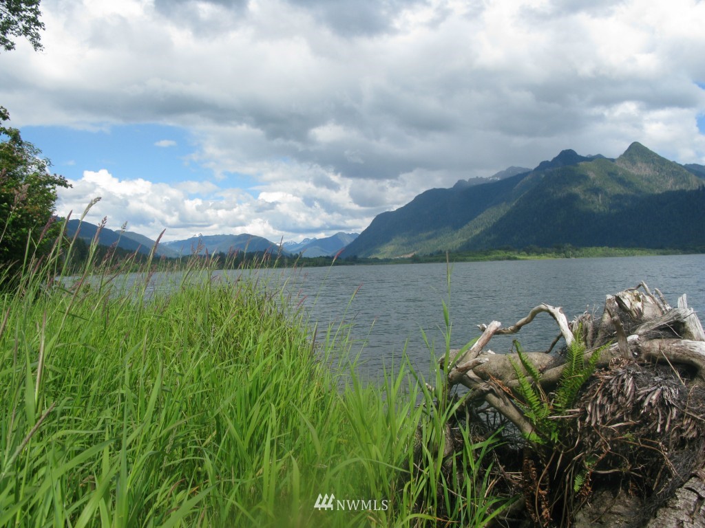 102 Shari Lane Amanda Park, WA 98526 - Photo 14 of 15