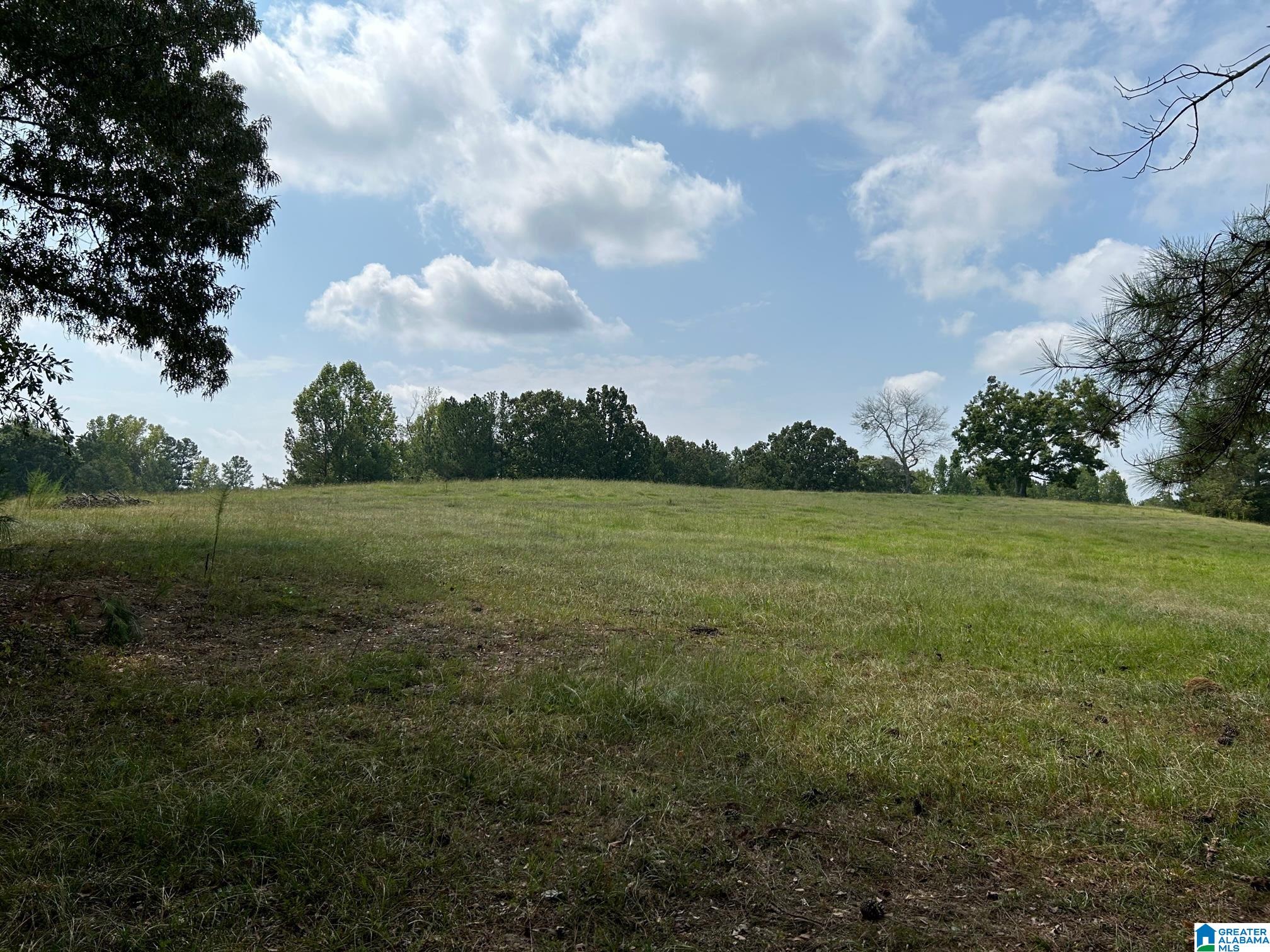 3300 Floyd Road Wellington, AL 36279 - Photo 8 of 11