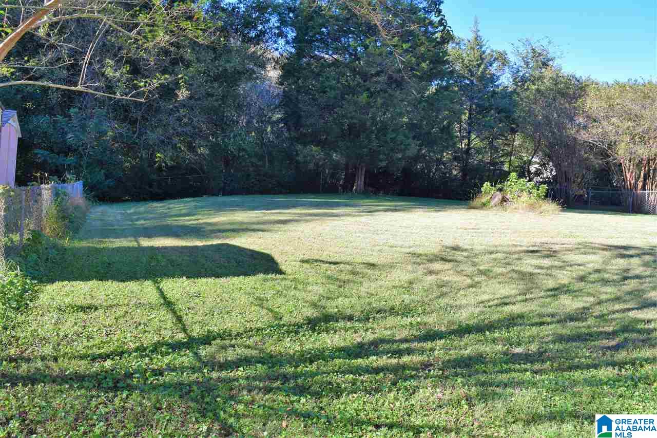 7136 Old Springville Road Pinson, AL 35126 - Photo 2 of 33 Gallery Image 2