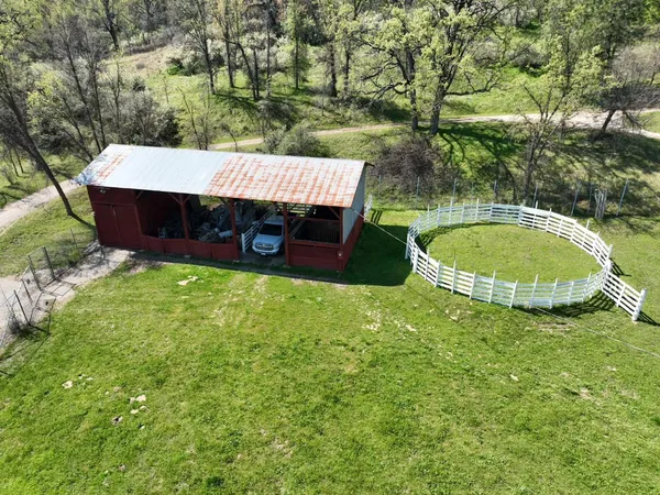 a view of a yard with plants and trees