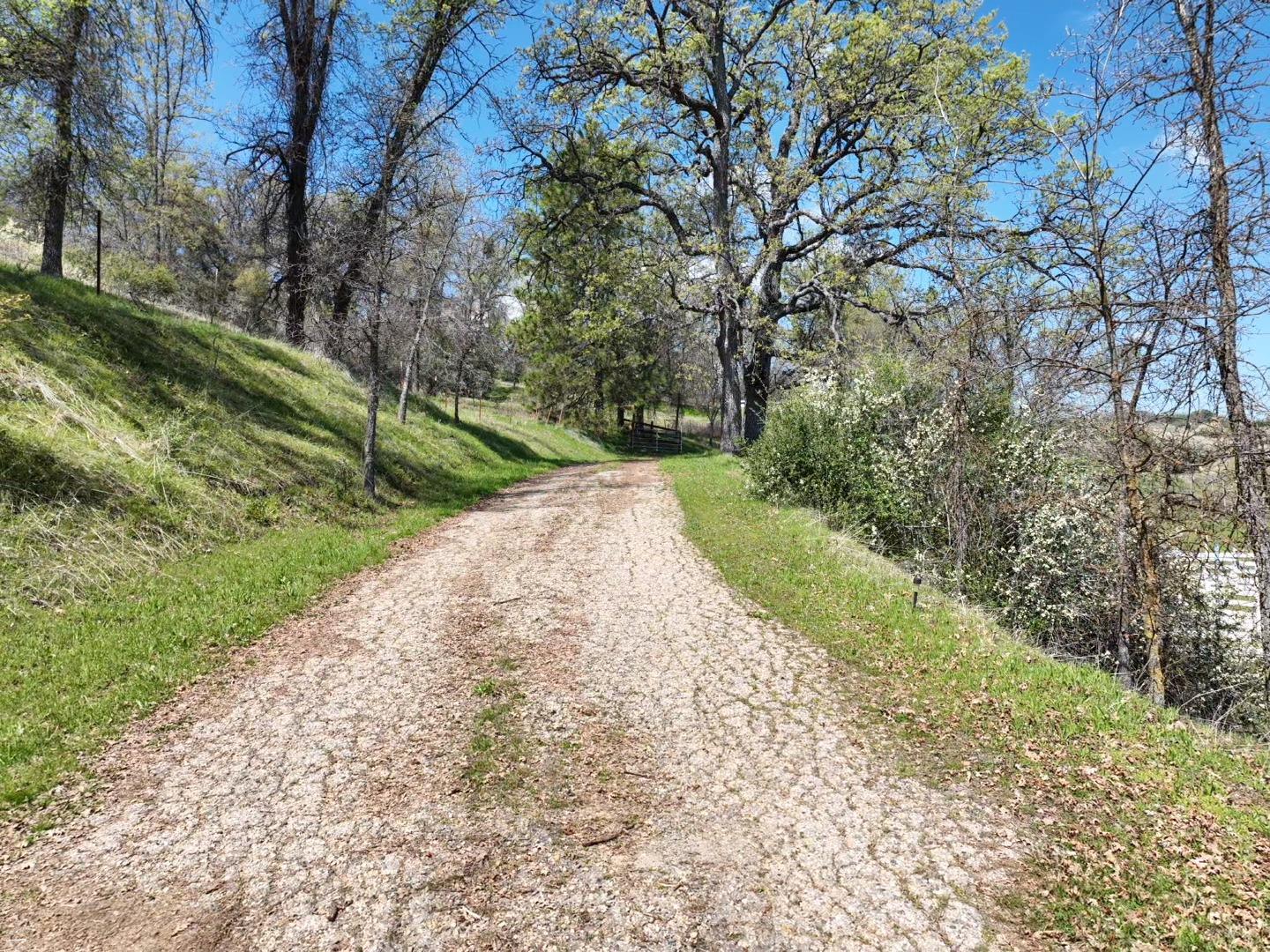 46771 Dunlap Road Miramonte, CA 93641 - Photo 16 of 42