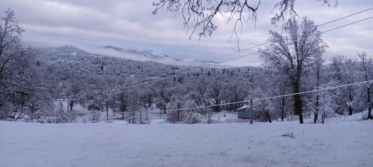 46771 Dunlap Road Miramonte, CA 93641 - Photo 21 of 42