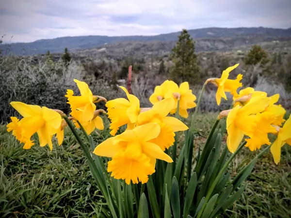 $399,000 | 46771 Dunlap Road, Miramonte, CA 93641