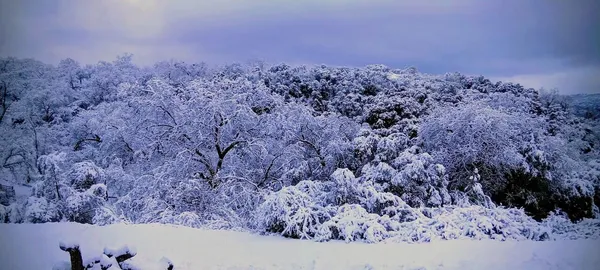 $399,000 | 46771 Dunlap Road, Miramonte, CA 93641