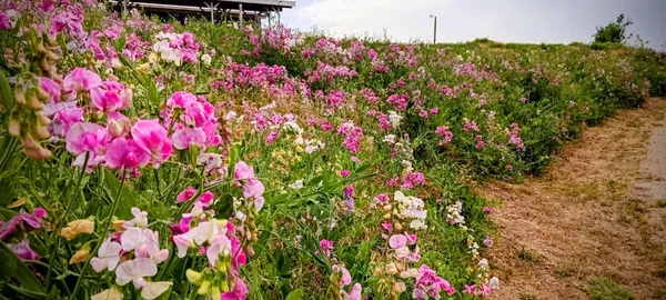 $399,000 | 46771 Dunlap Road, Miramonte, CA 93641