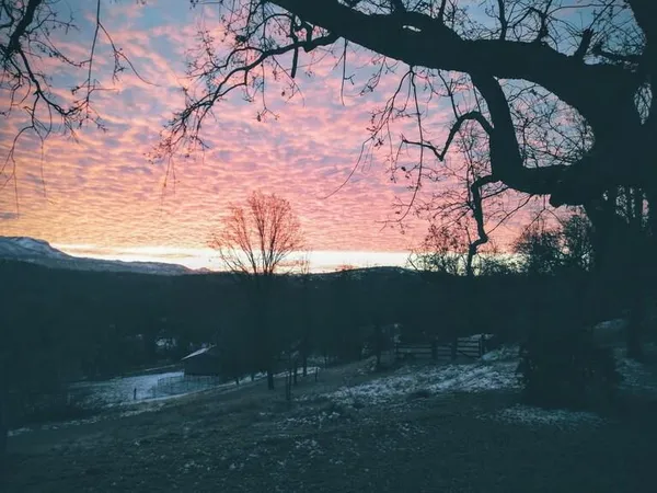 $399,000 | 46771 Dunlap Road, Miramonte, CA 93641