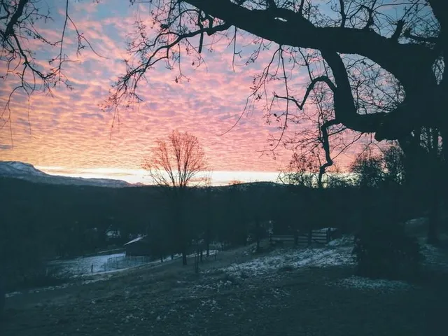 $399,000 | 46771 Dunlap Road, Miramonte, CA 93641