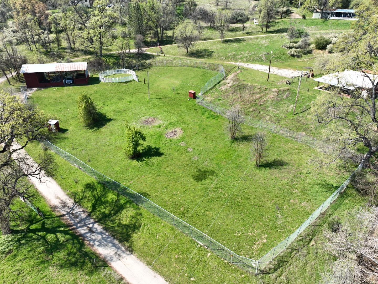 46771 Dunlap Road Miramonte, CA 93641 - Photo 10 of 42