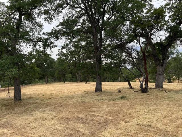 $35,000 | 19870 Moose Way, Cottonwood, CA 96022