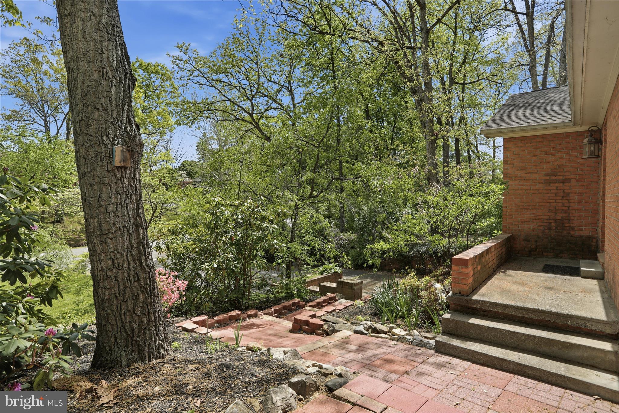 107 Oak Ridge Drive Stephens City, VA 22655 - Photo 41 of 49