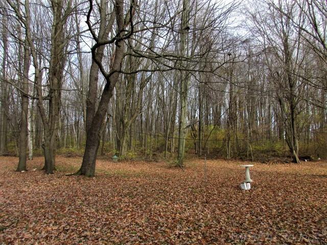 3931 Applegate Road Applegate, MI 48401 - Photo 10 of 17