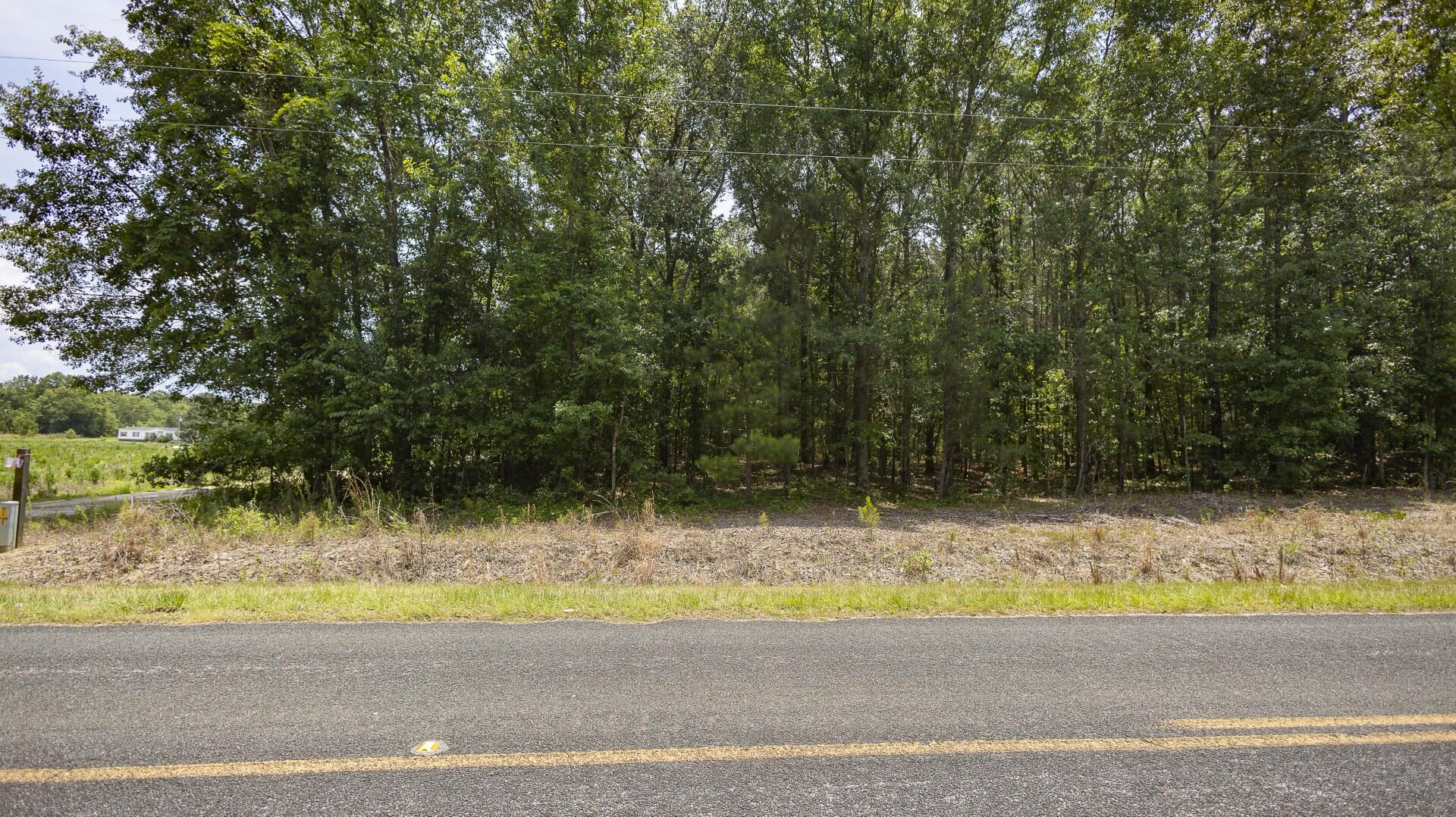2 Joseph Lemon And Dingle Road Manning, SC 29102 - Photo 11 of 44