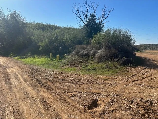 a big yard with lots of green space