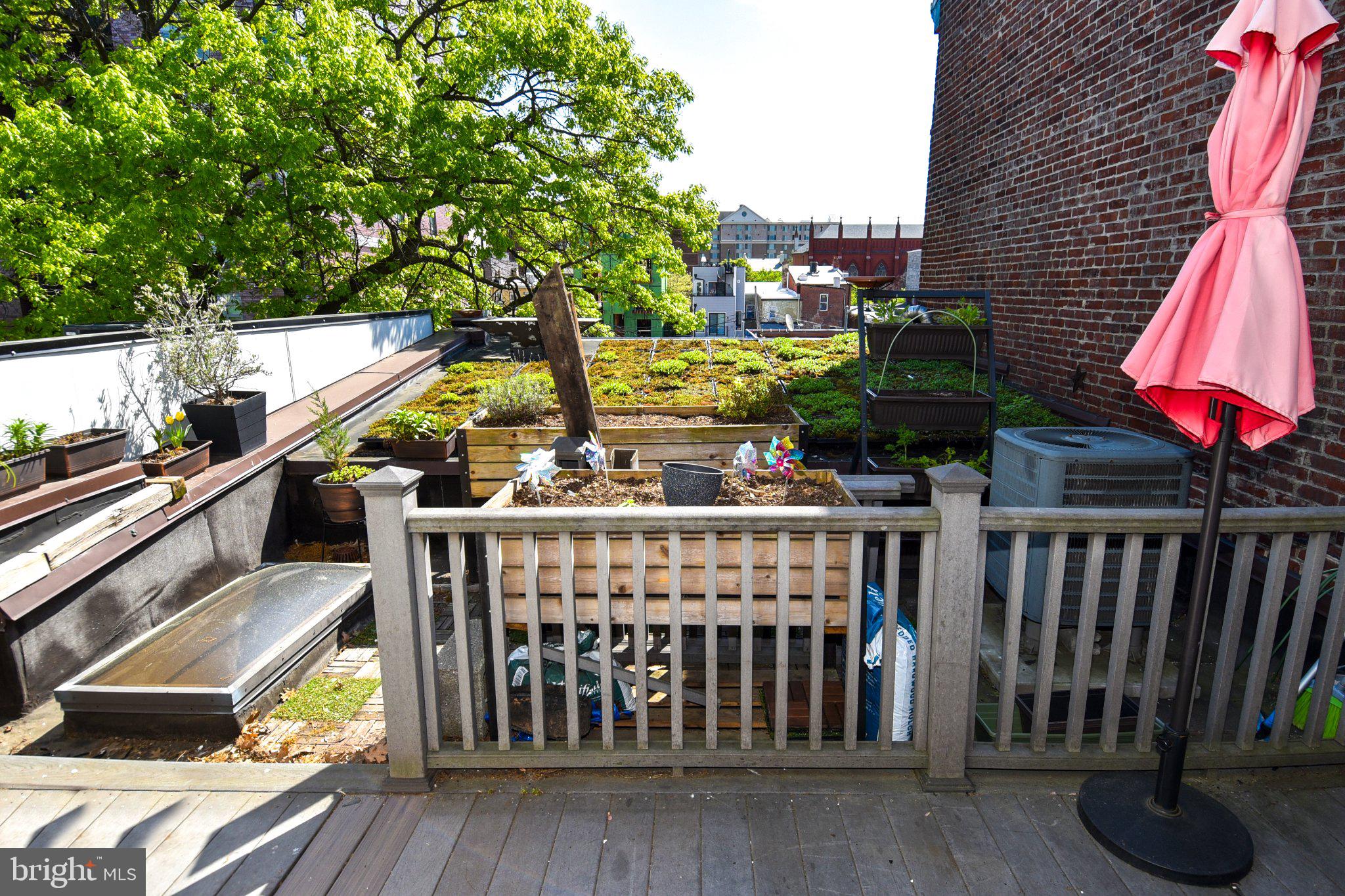 1316 9th Street Northwest Washington, DC 20001 - Photo 33 of 44 Urban oasis with lush greenery.