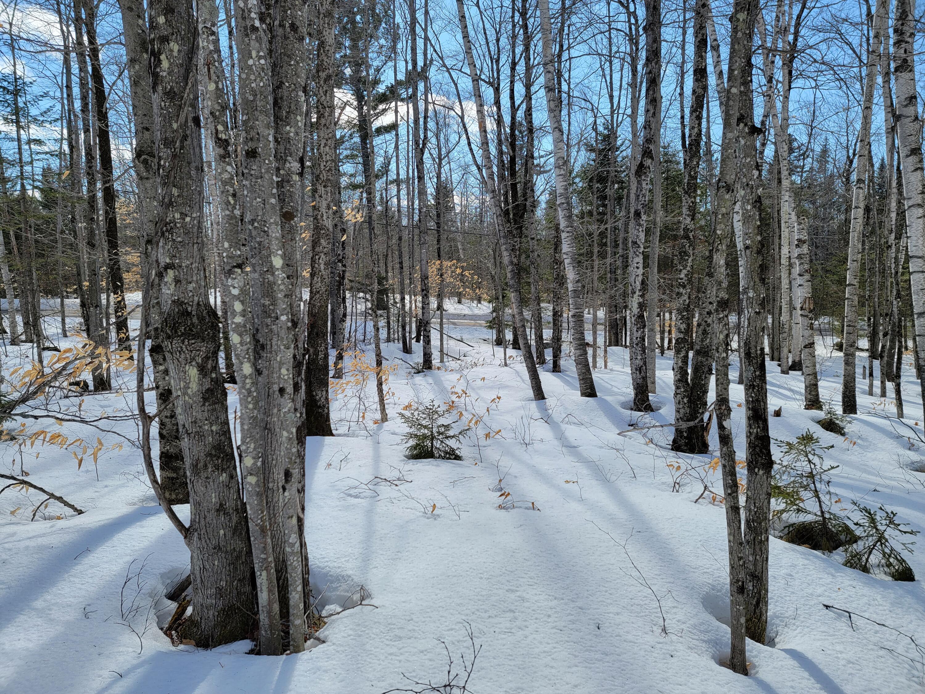 M3-l8b Roxbury Notch Road Roxbury, ME 04275 - Photo 18 of 38 Roxbury Notch Lot 8B