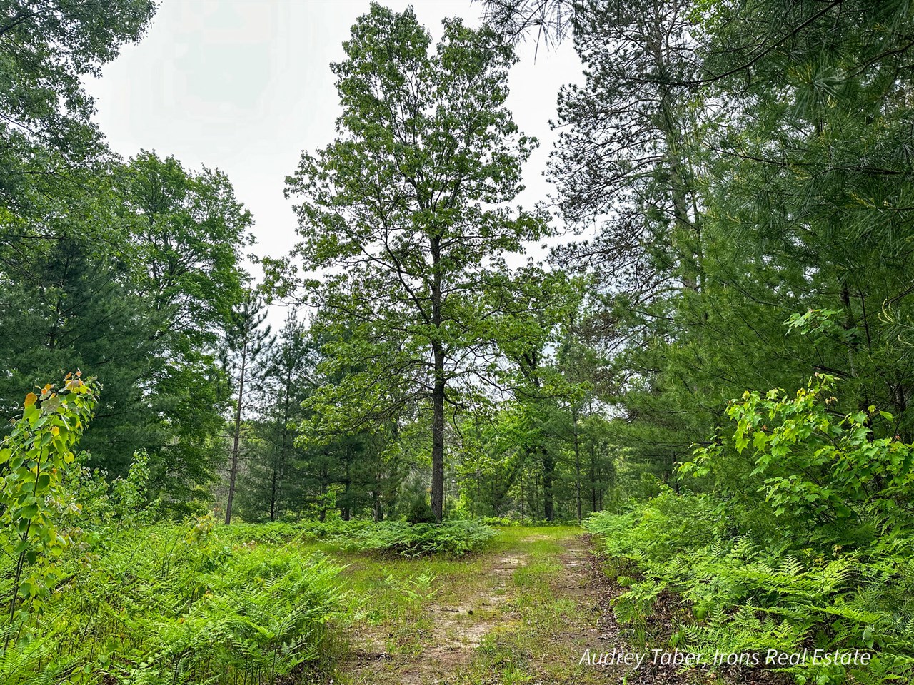 0 Millerton Road Scottville, MI 49454 - Photo 5 of 12