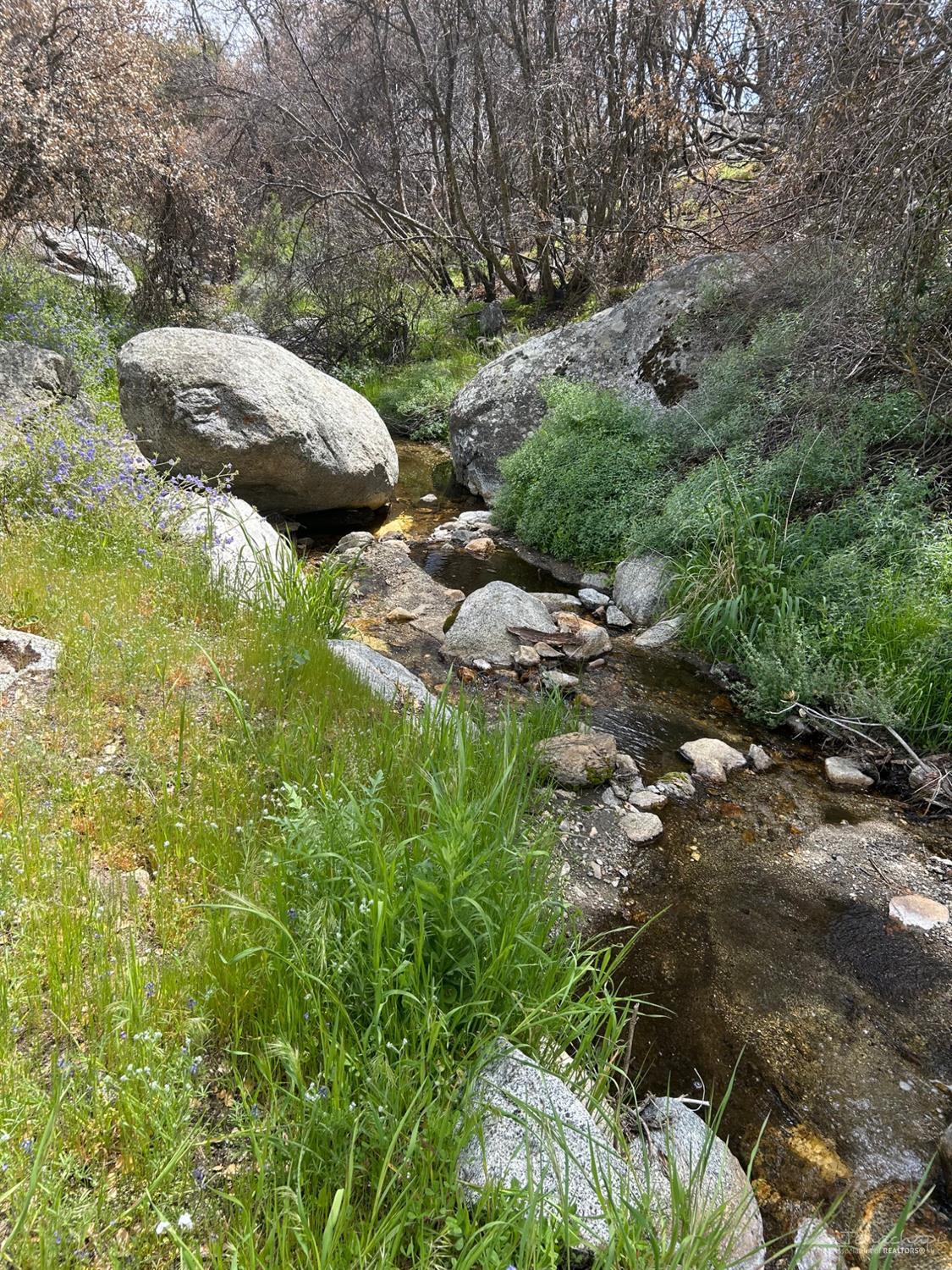 0 Foxtail Canyon Road Caliente, CA 93518 - Photo 1 of 21 Gallery Image 1