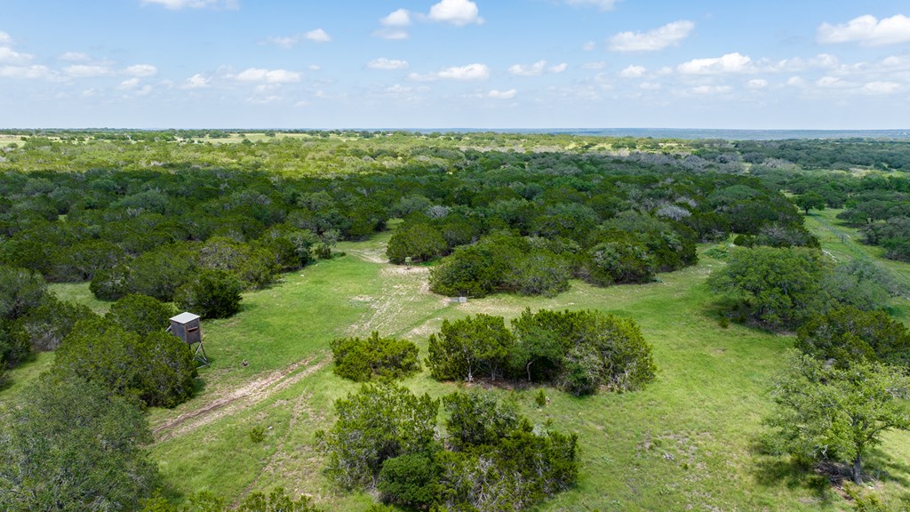 221 Coyote Trail Harper, TX 78631 - Photo 35 of 47 a view of a large yard with a large trees