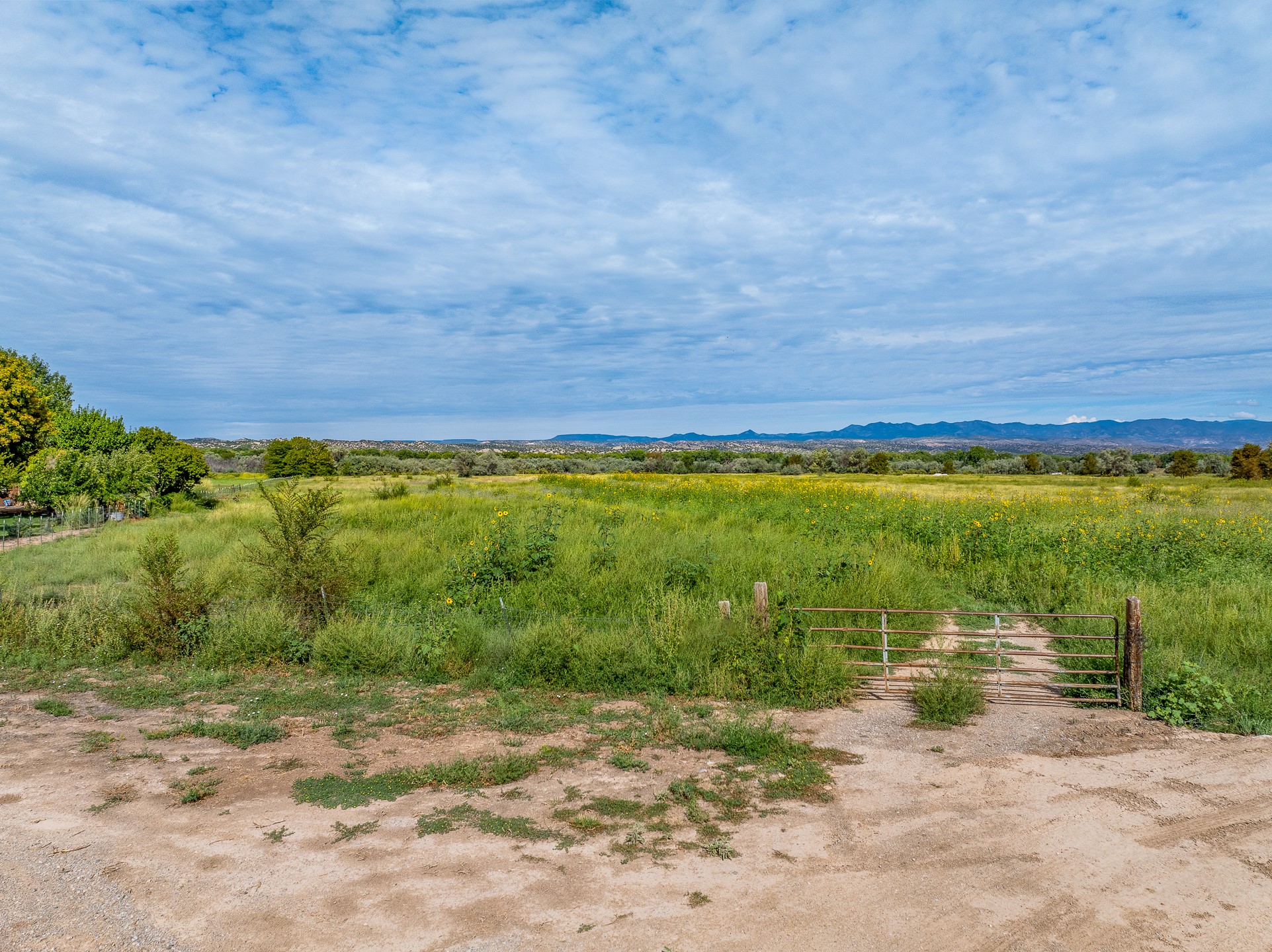 12 Sparkling Moolah Road Pena Blanca, NM 87041 - Photo 14 of 24