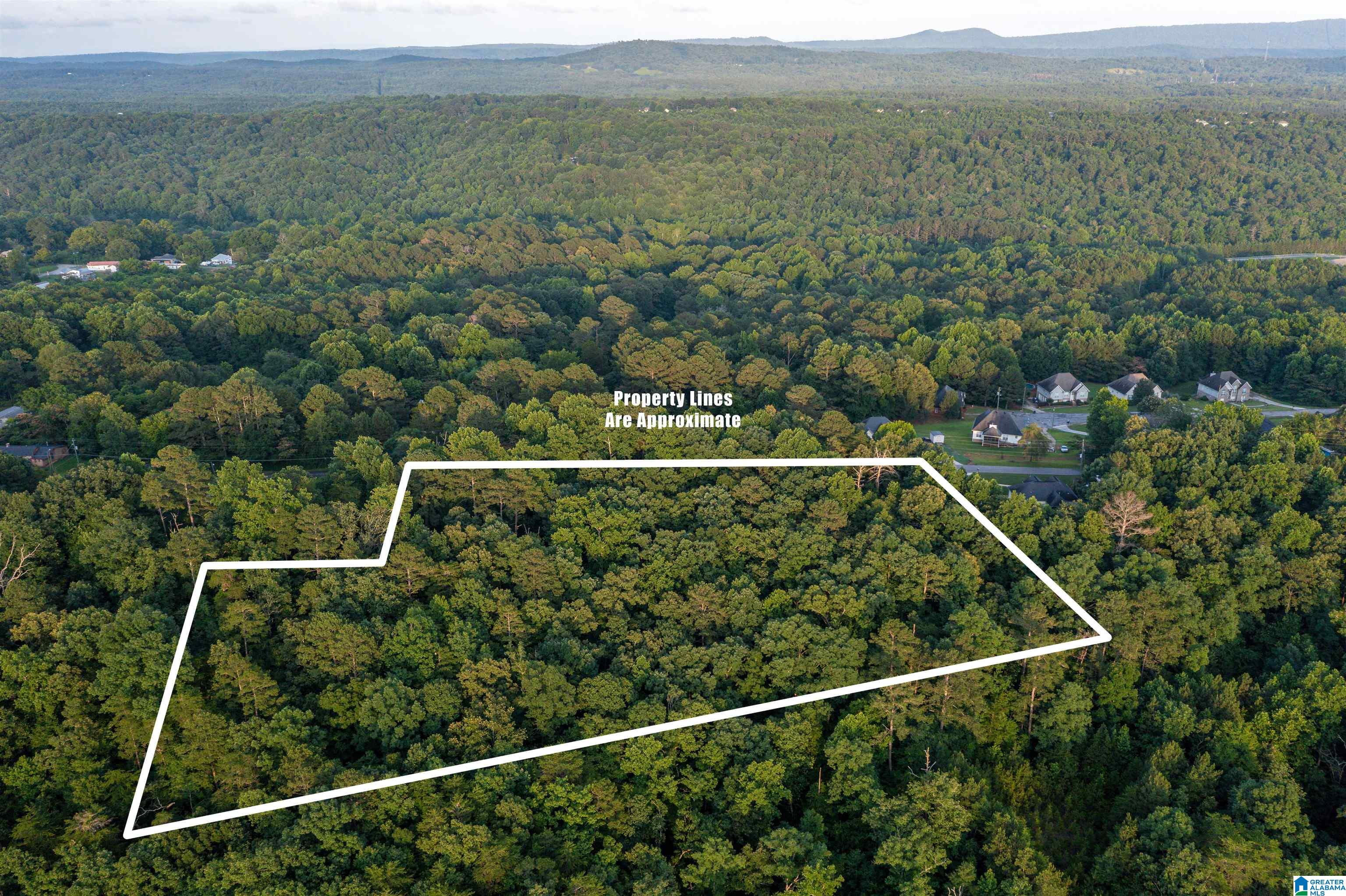0 Levine Road, Unit X Odenville, AL 35120 - Photo 4 of 16