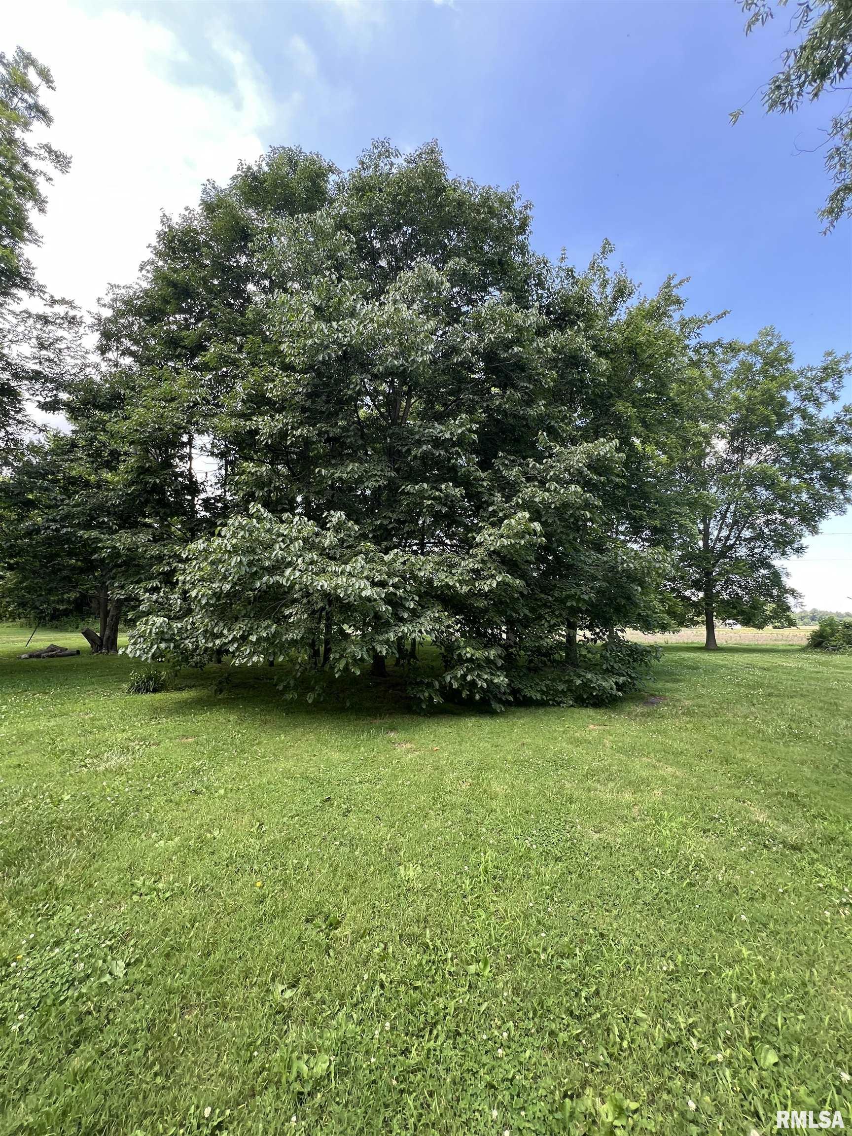 1251 Highway 37 Kell, IL 62853 - Photo 23 of 24