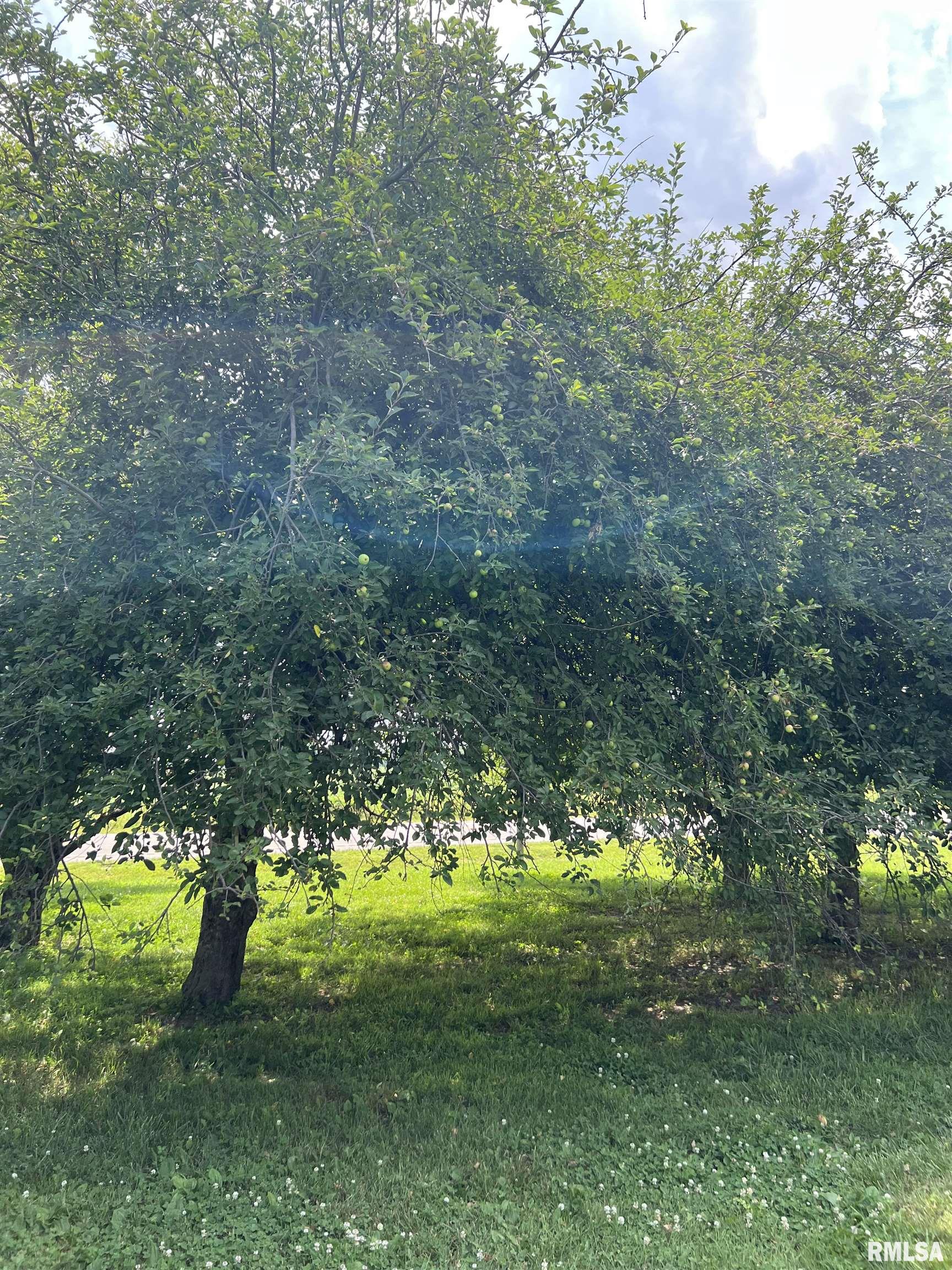 1251 Highway 37 Kell, IL 62853 - Photo 7 of 24