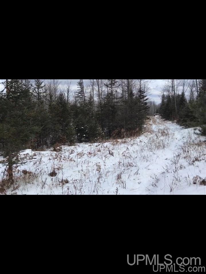 Tbd Swamp Road Powers, MI 49874 - Photo 11 of 30