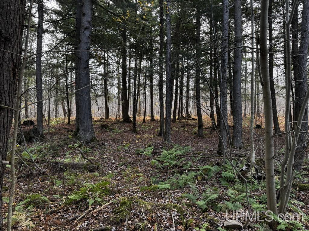 Tbd Off Skanee Road Skanee, MI 49962 - Photo 4 of 32
