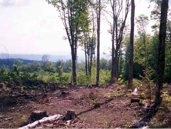 - Ball Park Road Westfield, VT 05874 - Photo 1 of 1
