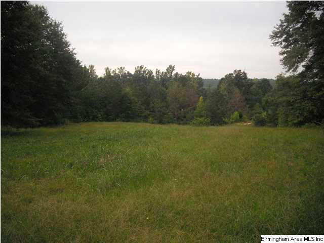 Sardis Road, Unit 1 Lineville, AL 36266 - Photo 10 of 22